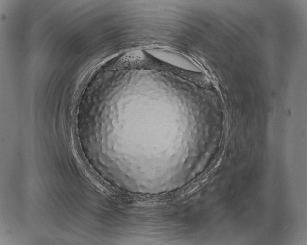 X0000080130097200701051429