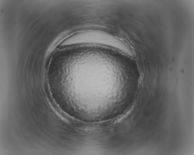 X0000080130101200701051429