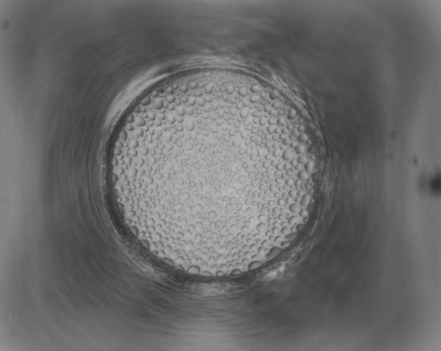 X0000080130103200701051429