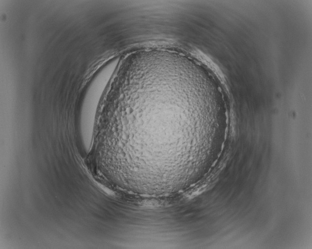 X0000080130105200701051429