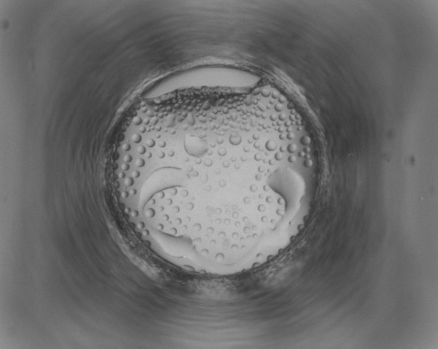 X0000080130106200701051429