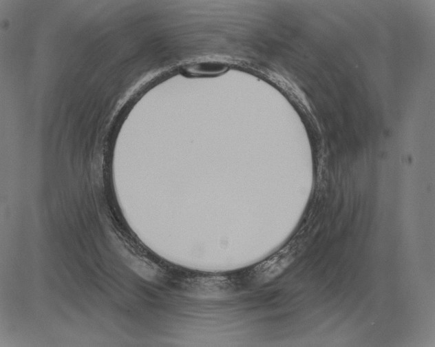 X0000080130108200701051429