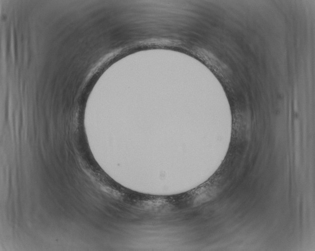 X0000080130112200701051429