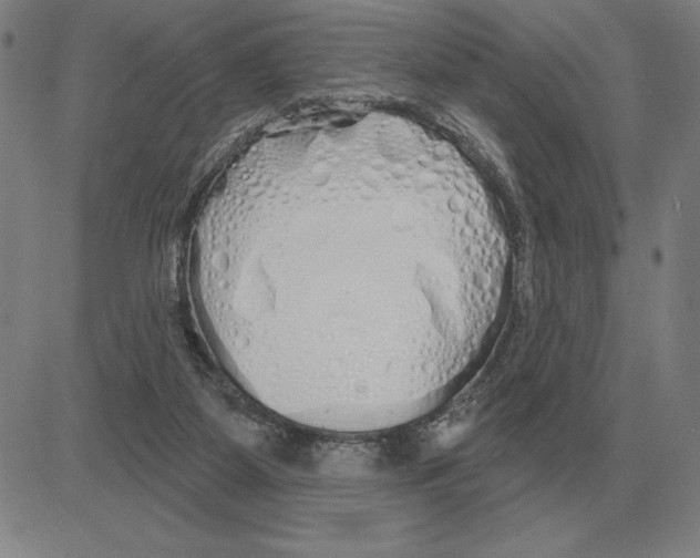 X0000080130115200701051429