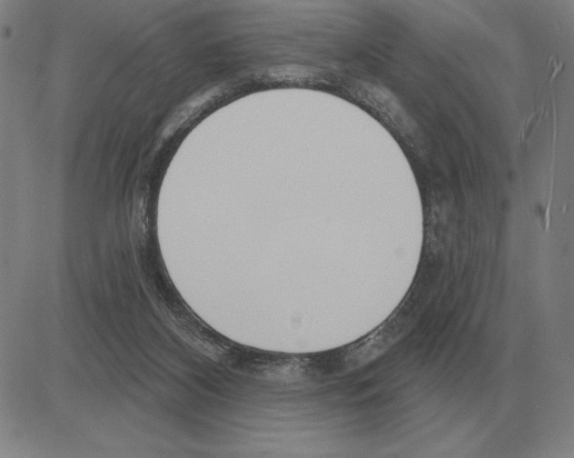 X0000080130116200701051429