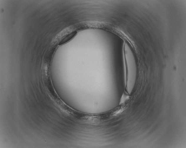 X0000080130117200701051429