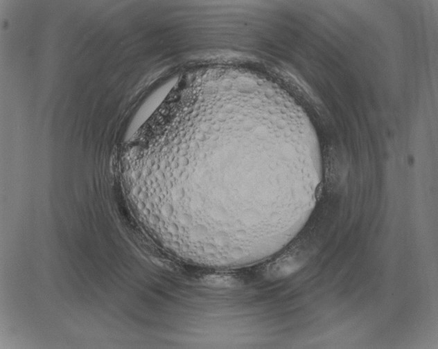 X0000080130119200701051429