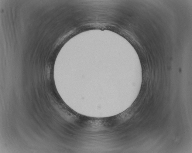 X0000080130120200701051429