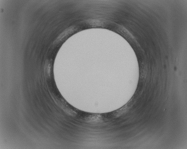 X0000080130124200701051429