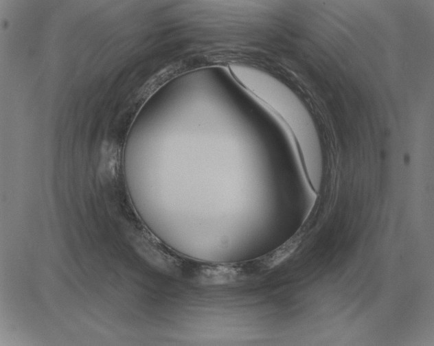 X0000080130125200701051429