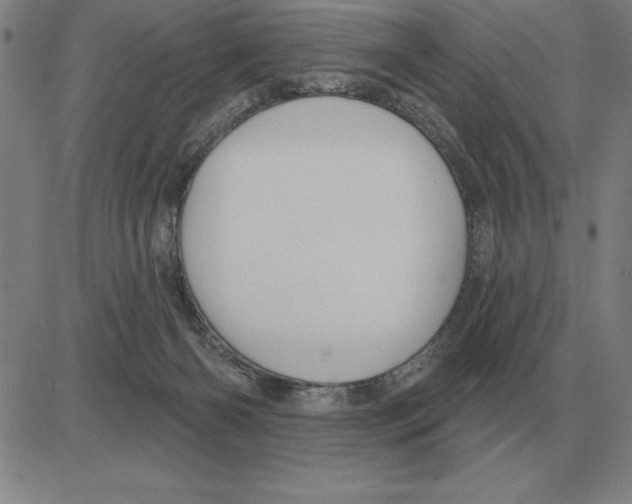X0000080130126200701051429