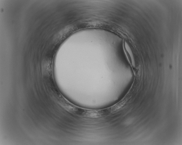 X0000080130127200701051429