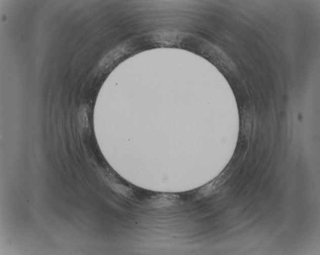 X0000080130128200701051429