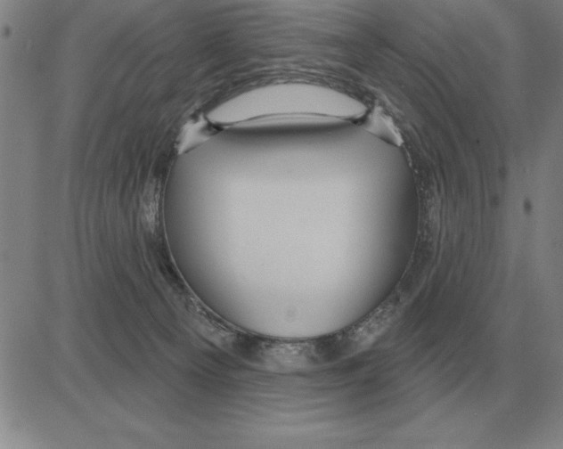X0000080130129200701051429