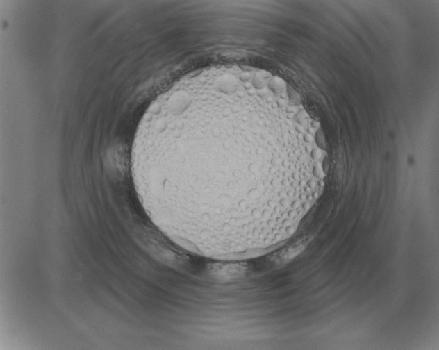 X0000080130135200701051429