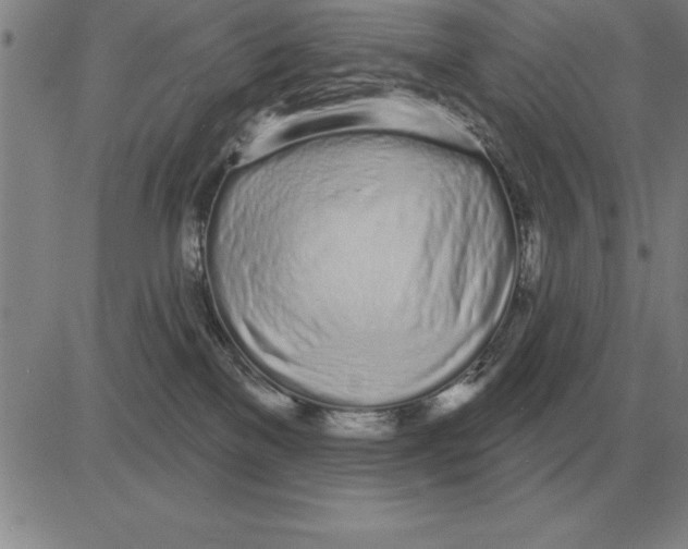 X0000080130137200701051429