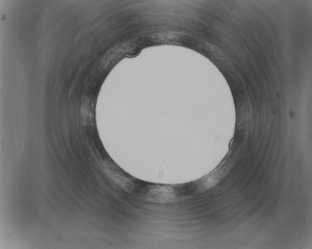 X0000080130140200701051429