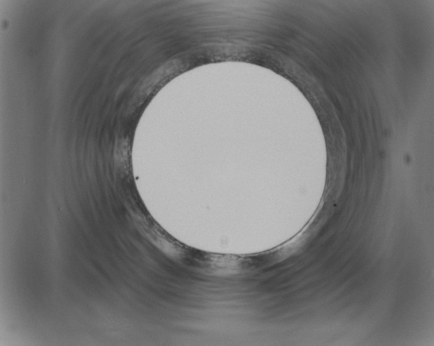 X0000080130144200701051428
