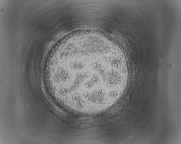 X0000080130145200701051428