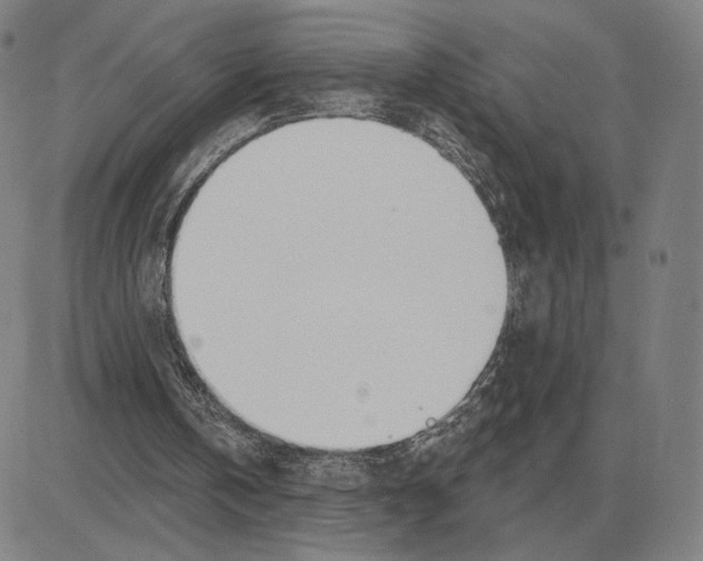 X0000080130146200701051428