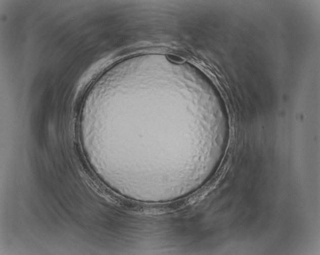 X0000080130149200701051428