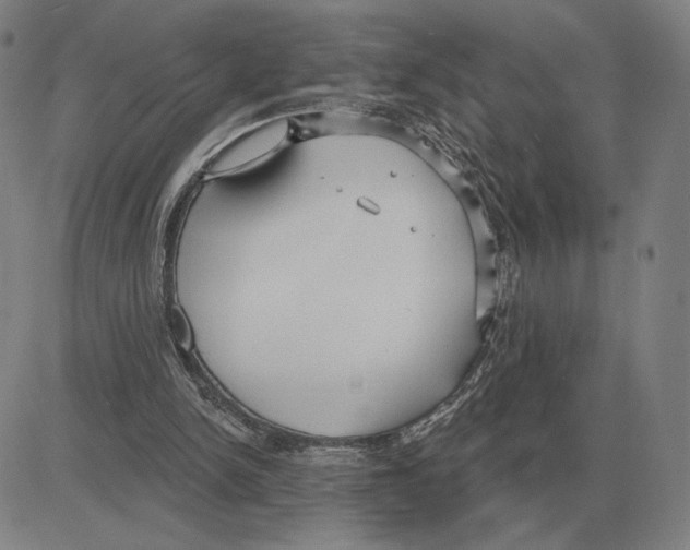 X0000080130150200701051428