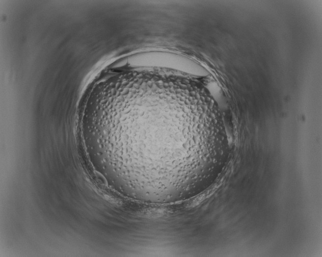 X0000080130152200701051428
