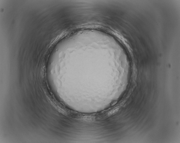 X0000080130153200701051428