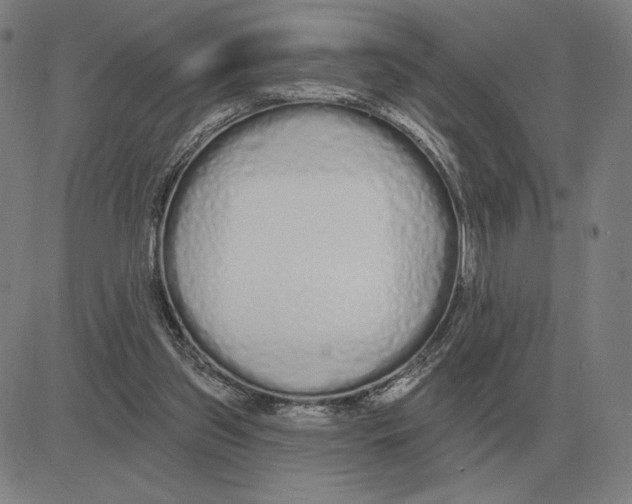 X0000080130157200701051428