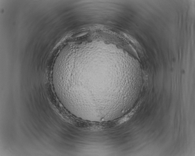 X0000080130158200701051428