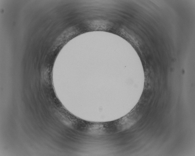 X0000080130162200701051428