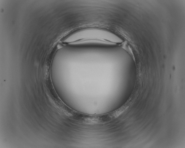 X0000080130164200701051428