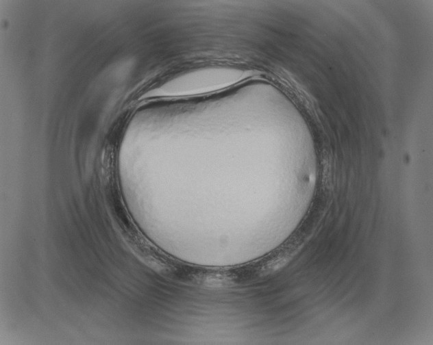 X0000080130165200701051428