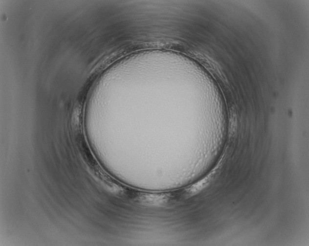 X0000080130166200701051428