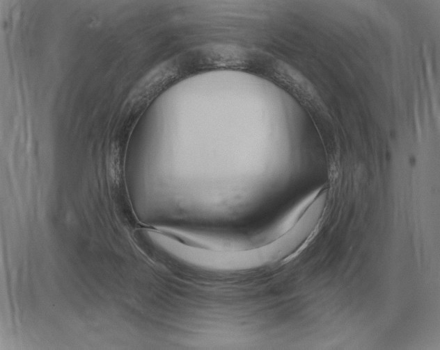 X0000080130170200701051428