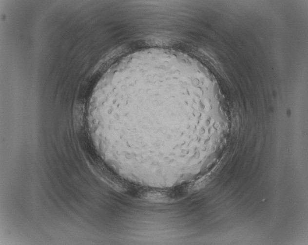 X0000080130171200701051428