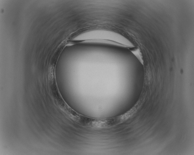 X0000080130172200701051428