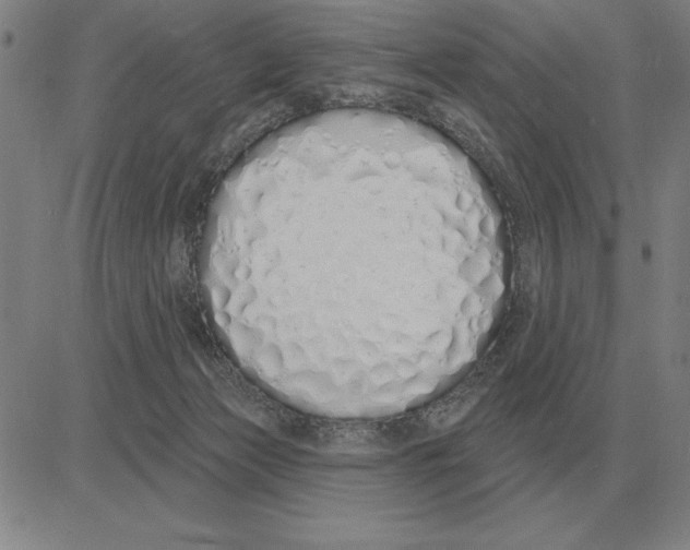 X0000080130173200701051428