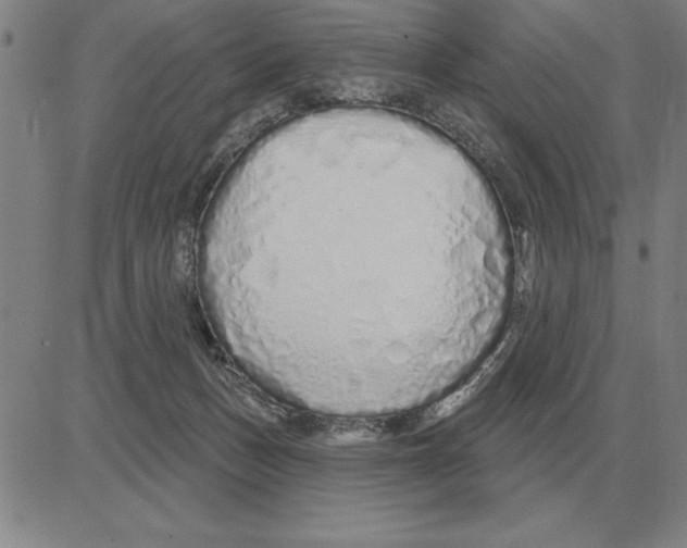 X0000080130175200701051428