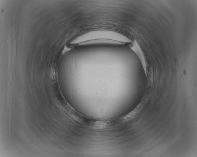X0000080130176200701051428