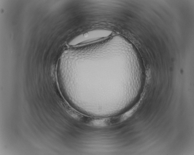 X0000080130178200701051428