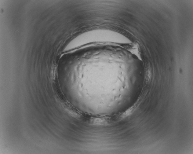 X0000080130180200701051428
