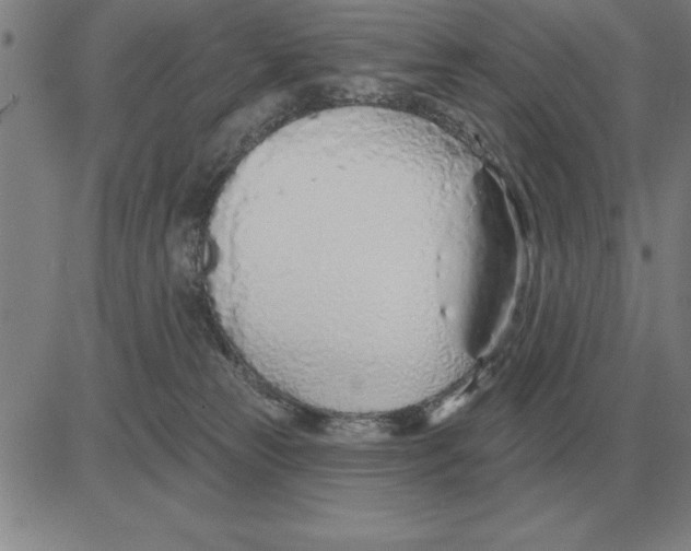 X0000080130181200701051428