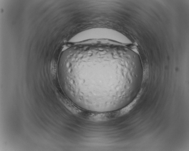 X0000080130186200701051428
