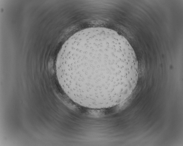 X0000080130187200701051428