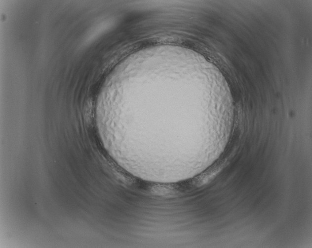 X0000080130189200701051428