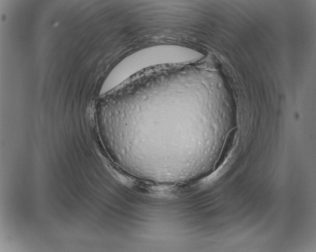X0000080130192200701051428