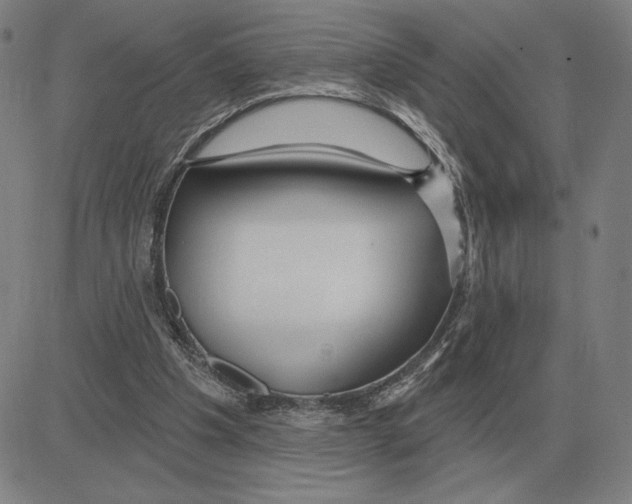 X0000080130201200701051428
