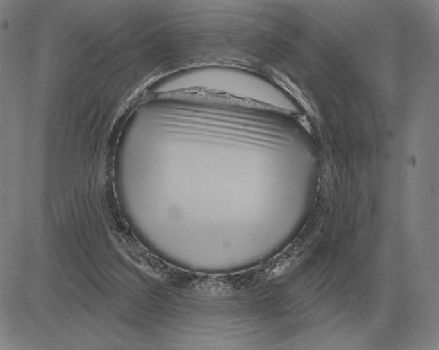 X0000080130203200701051428