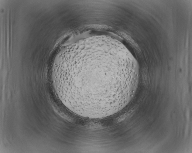 X0000080130207200701051427